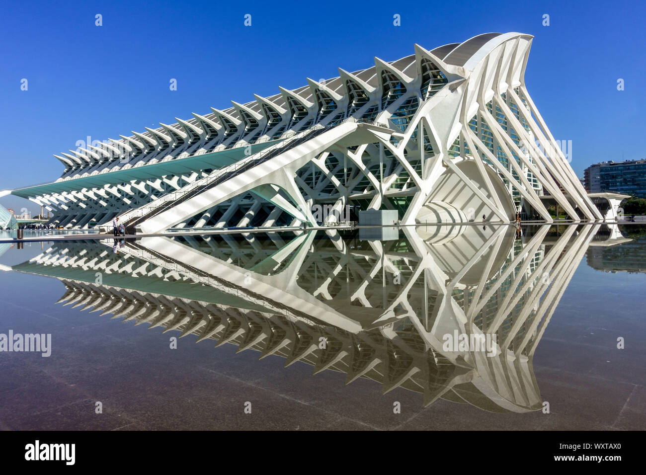 Espagnol contemporain architecture moderne structure futuriste par Calatrava Valencia ville des arts et des sciences Valencia Espagne Musée des sciences de la ville Banque D'Images
