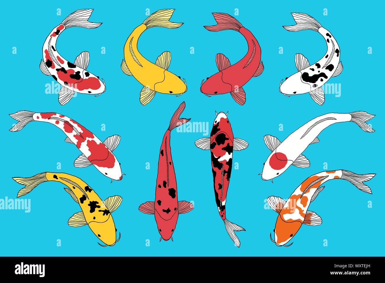Types de poissons koi Illustration de Vecteur