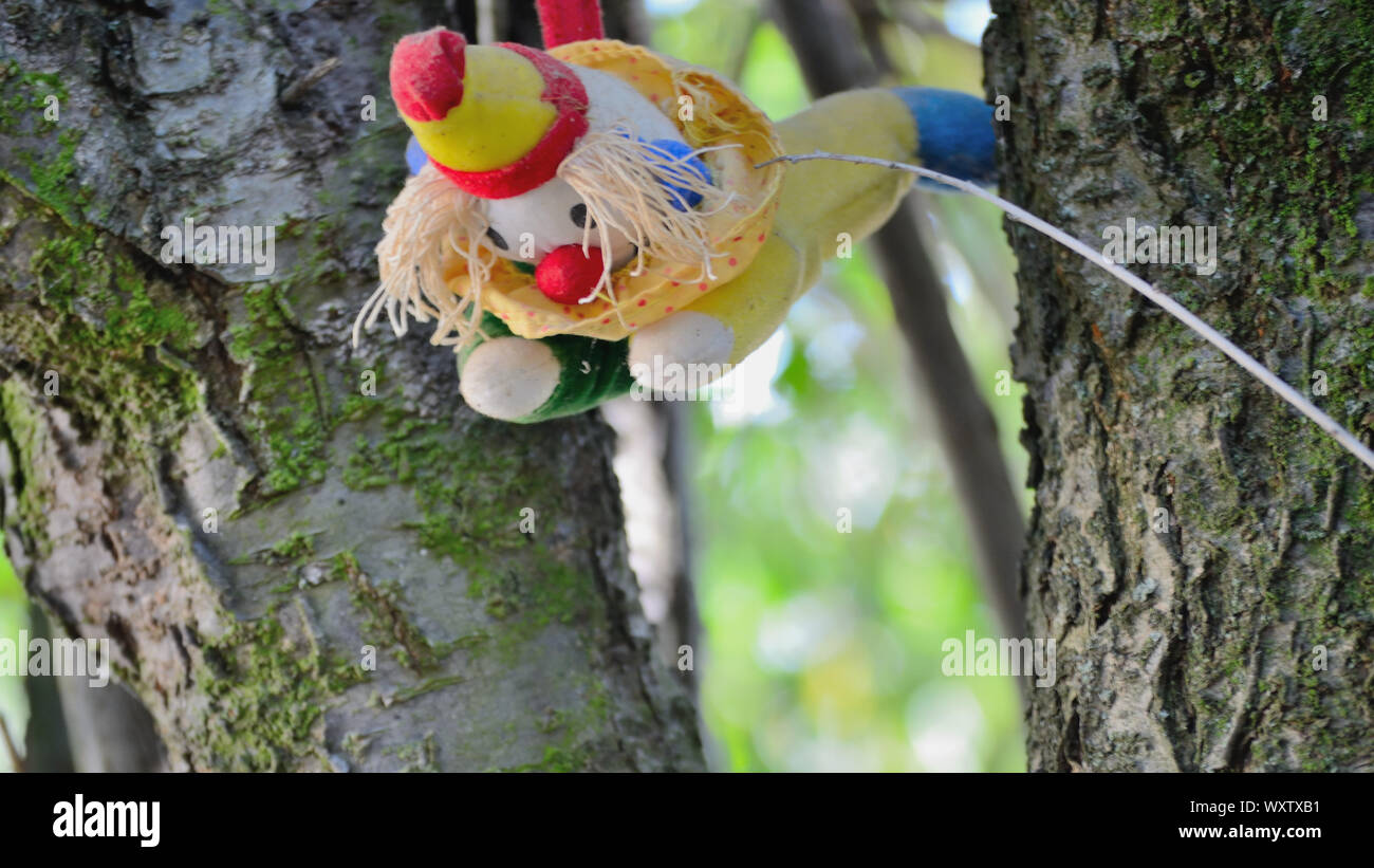 Peluche jouet clown coloré accroché sur un arbre Banque D'Images