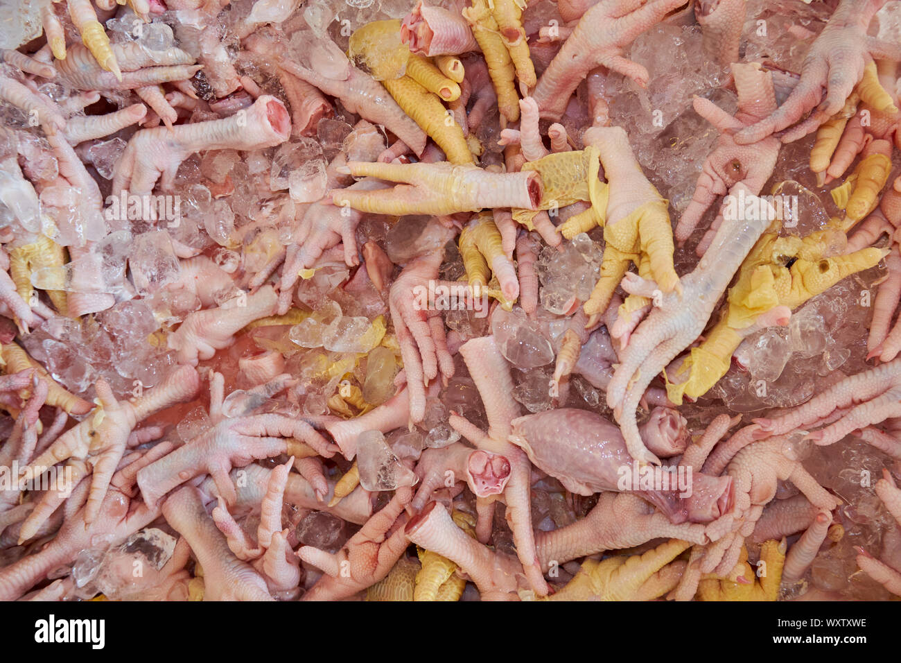 Pieds de poulet sur la glace à un boucher à Kuching, Sarawak, Bornéo, Malaisie. L'image est bonne pour un téléphone, un ordinateur. Banque D'Images