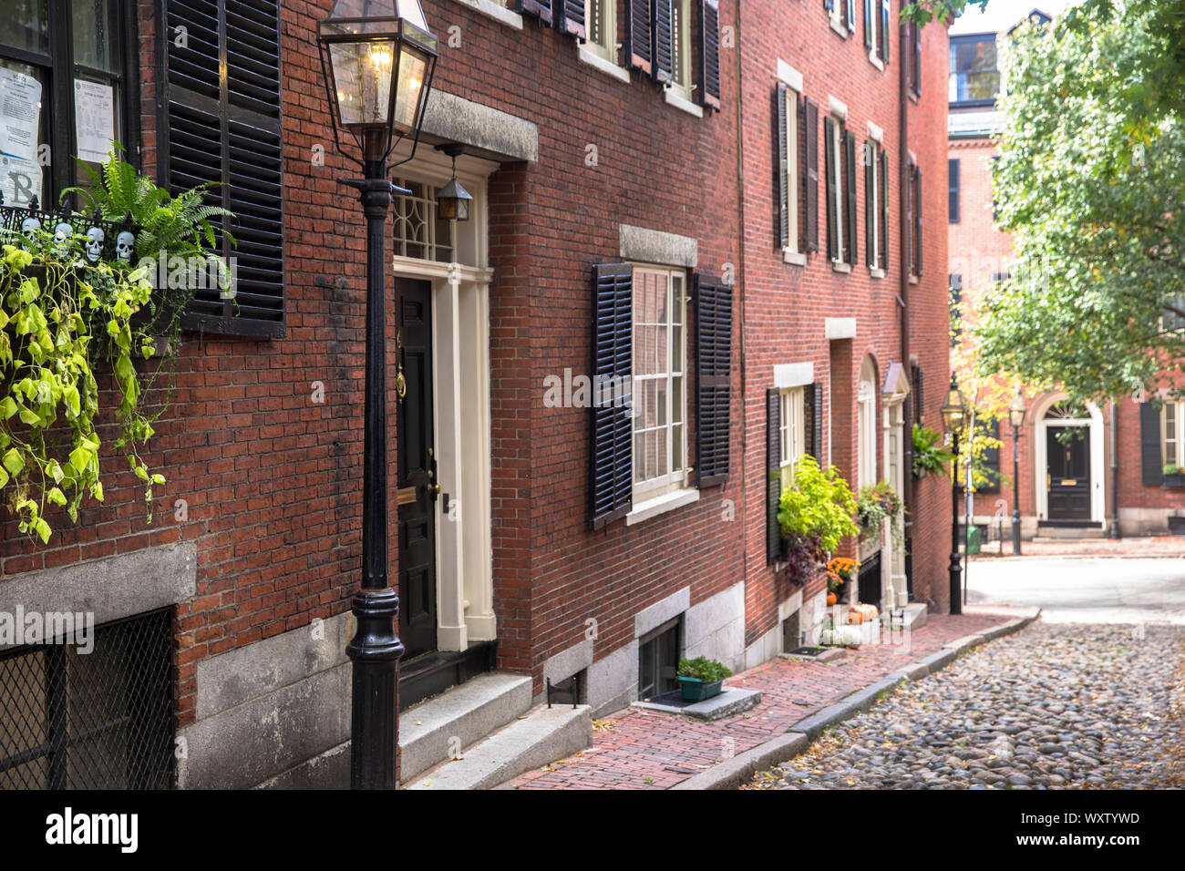 La célèbre rue pavée, le Beacon Hill dans le quartier historique de Boston, Massachusetts, USA Banque D'Images
