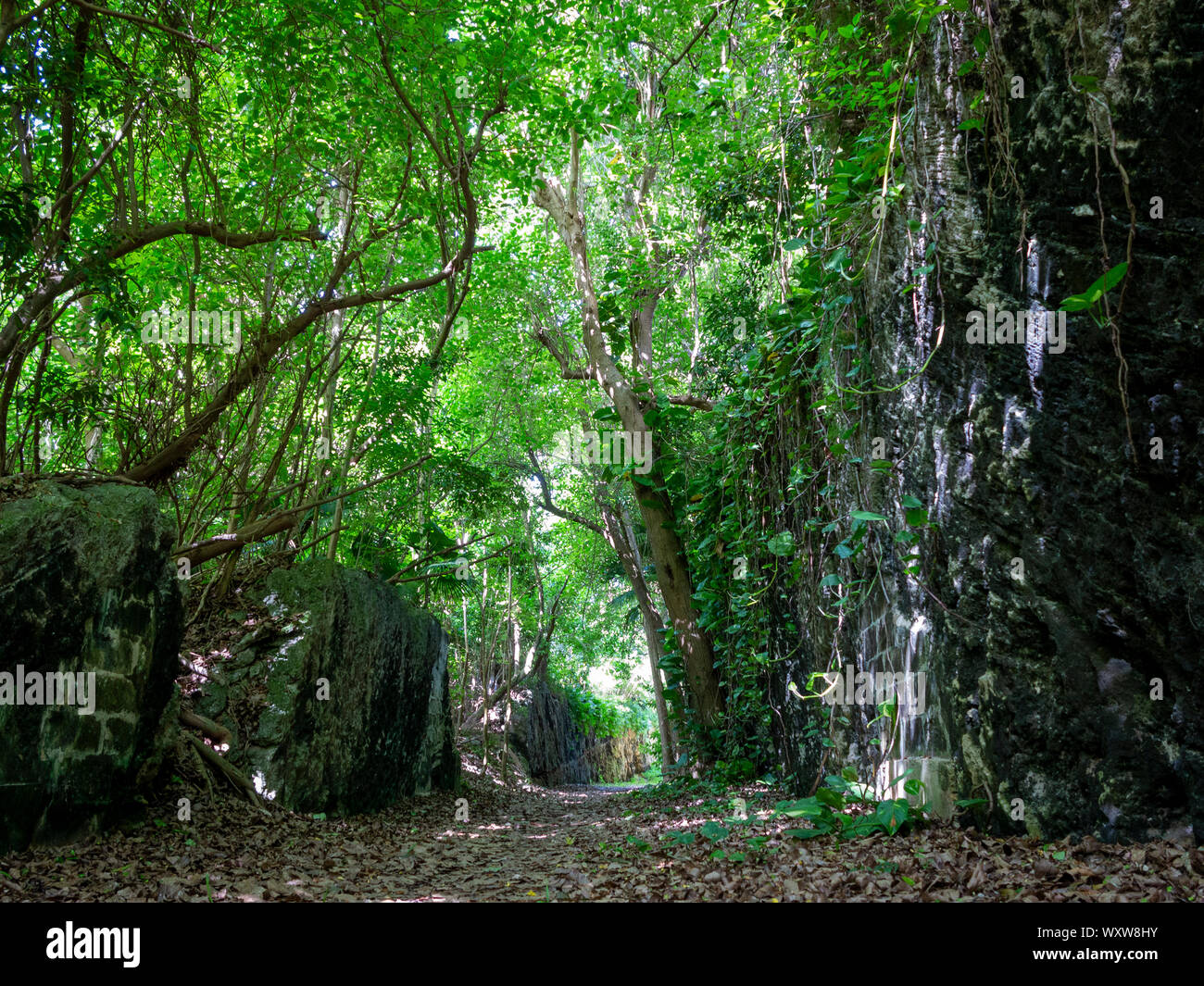 Une section de la voie ferrée Trail sur l'île des Bermudes Banque D'Images