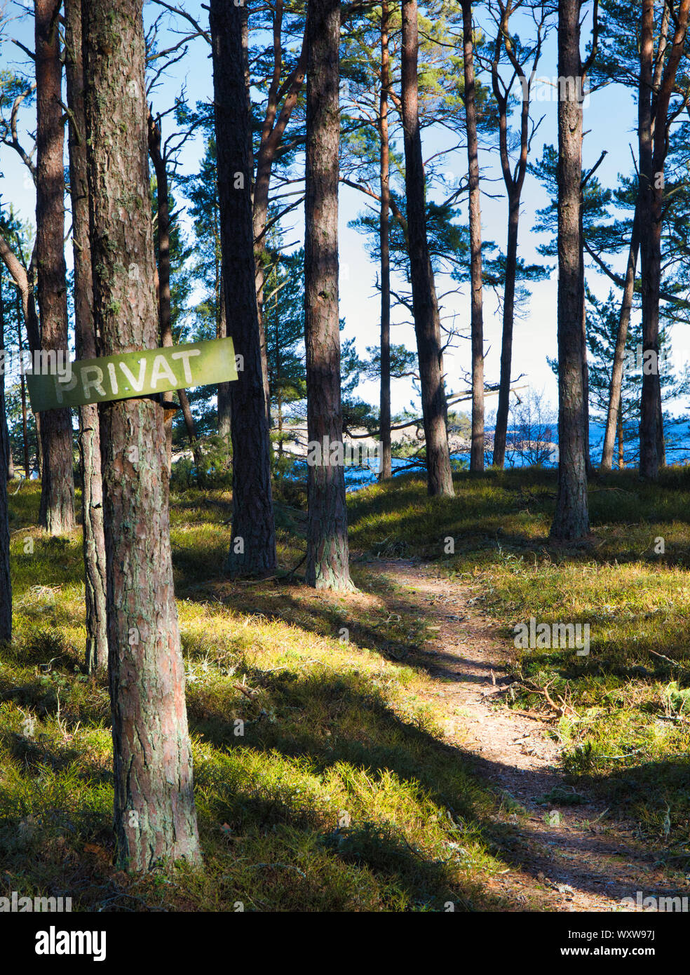 En bois rustique panneau privé attaché à l'arbre à côté du chemin forestier sur l'île de Sandhamn, archipel de Stockholm, Suède Banque D'Images