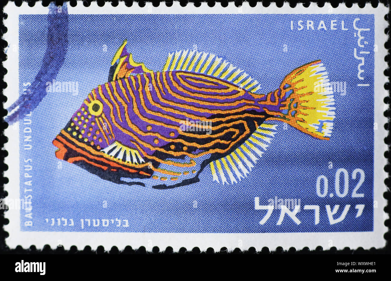 Triggerfish colorés sur timbre israélien Banque D'Images