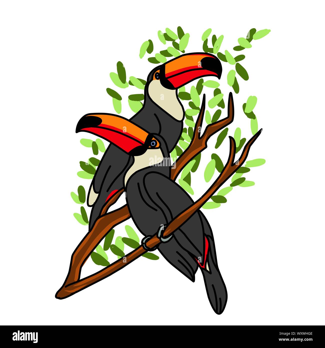 Toucan oiseau exotique. Toucan dessinés à la main, sur fond blanc. Vector set d'oiseaux tropicaux isolé sur blanc. Les oiseaux tropicaux Jungle couleur noir. Concept Illustration de Vecteur