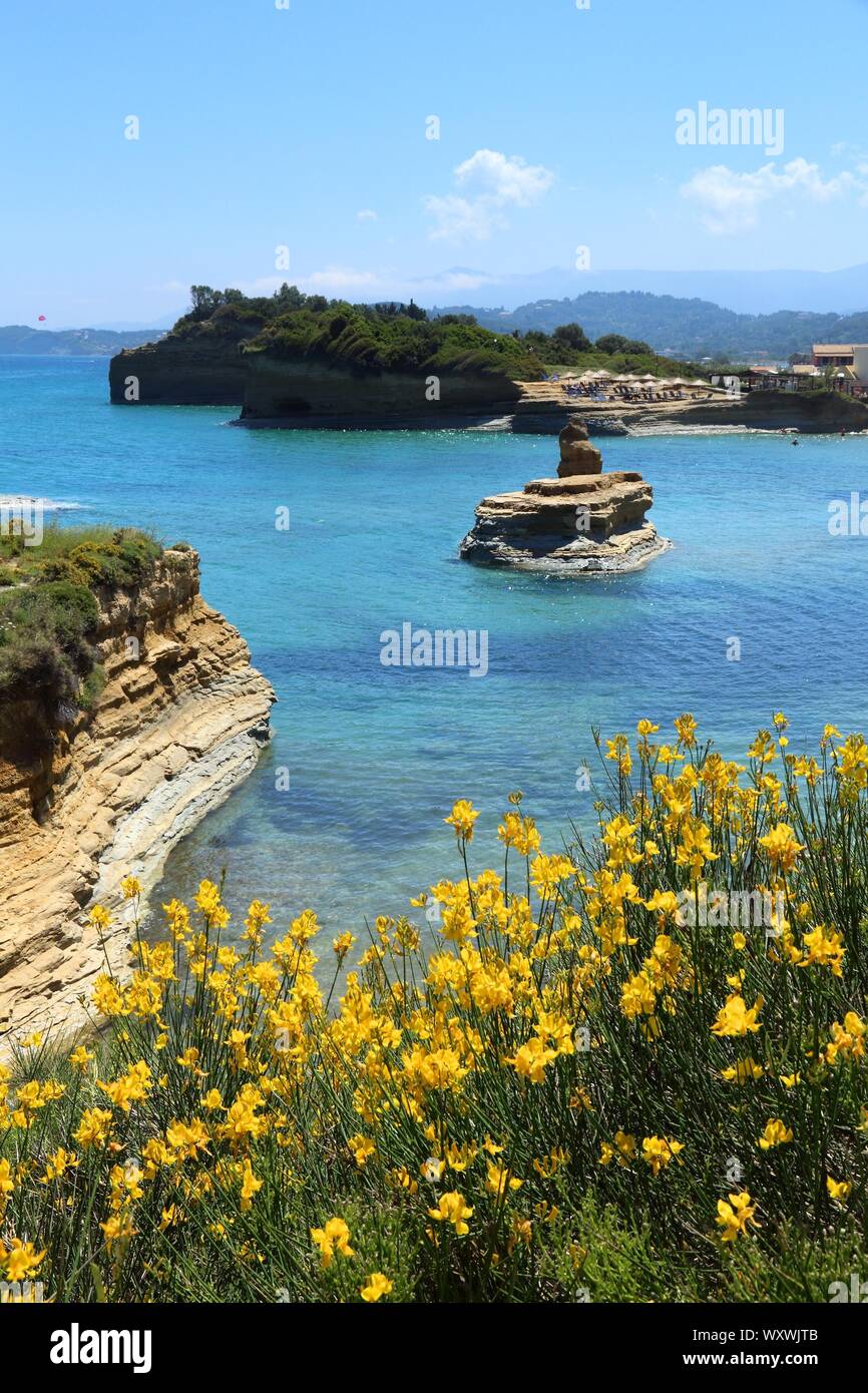 Sidari sur l'île de Corfou, Grèce. Canal D'Amour rock formation - Canal de l'amour. Dyer's broom fleurs. Banque D'Images