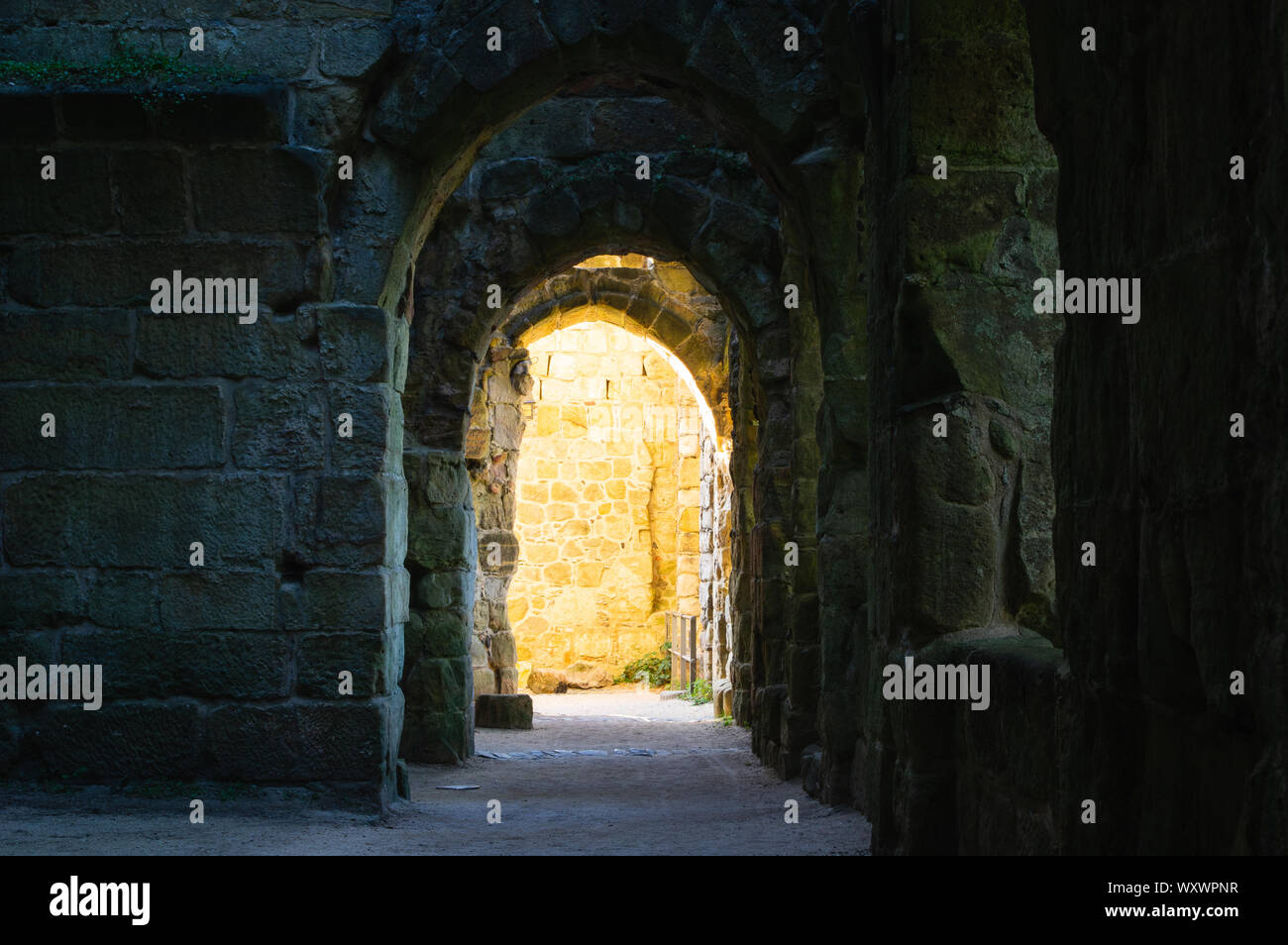 Archway historique dans la bibliothèque sur les ruines du monastère oybin Saxe / Allemagne Banque D'Images