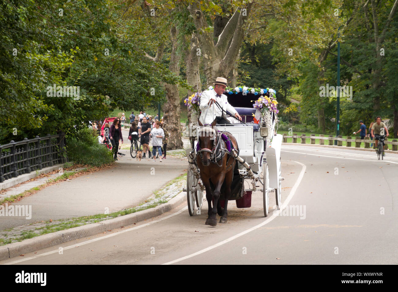 Horse And Carriage dans Central Park, NYC Banque D'Images