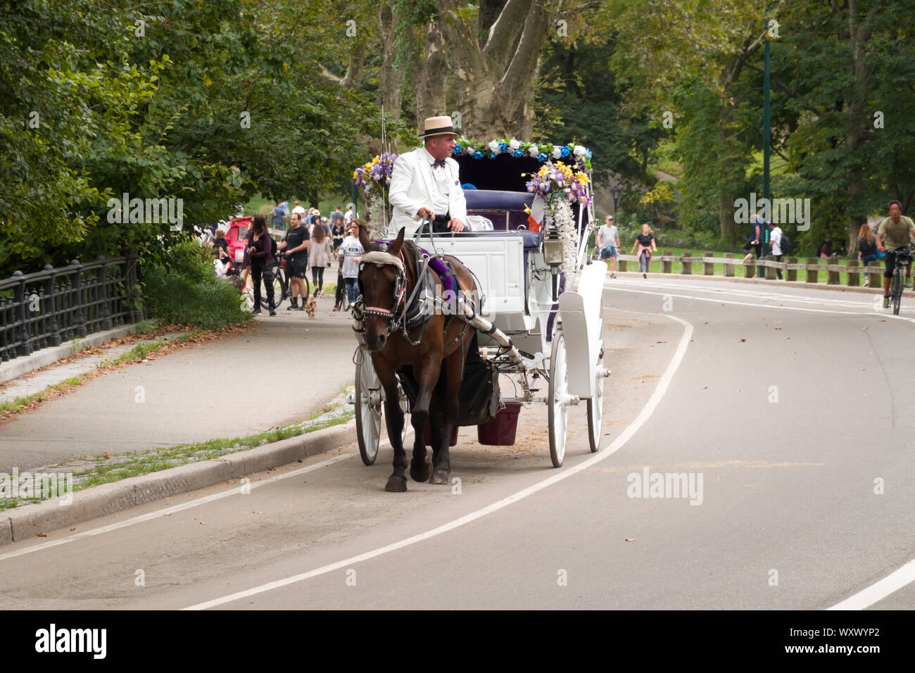 Horse And Carriage dans Central Park, NYC Banque D'Images