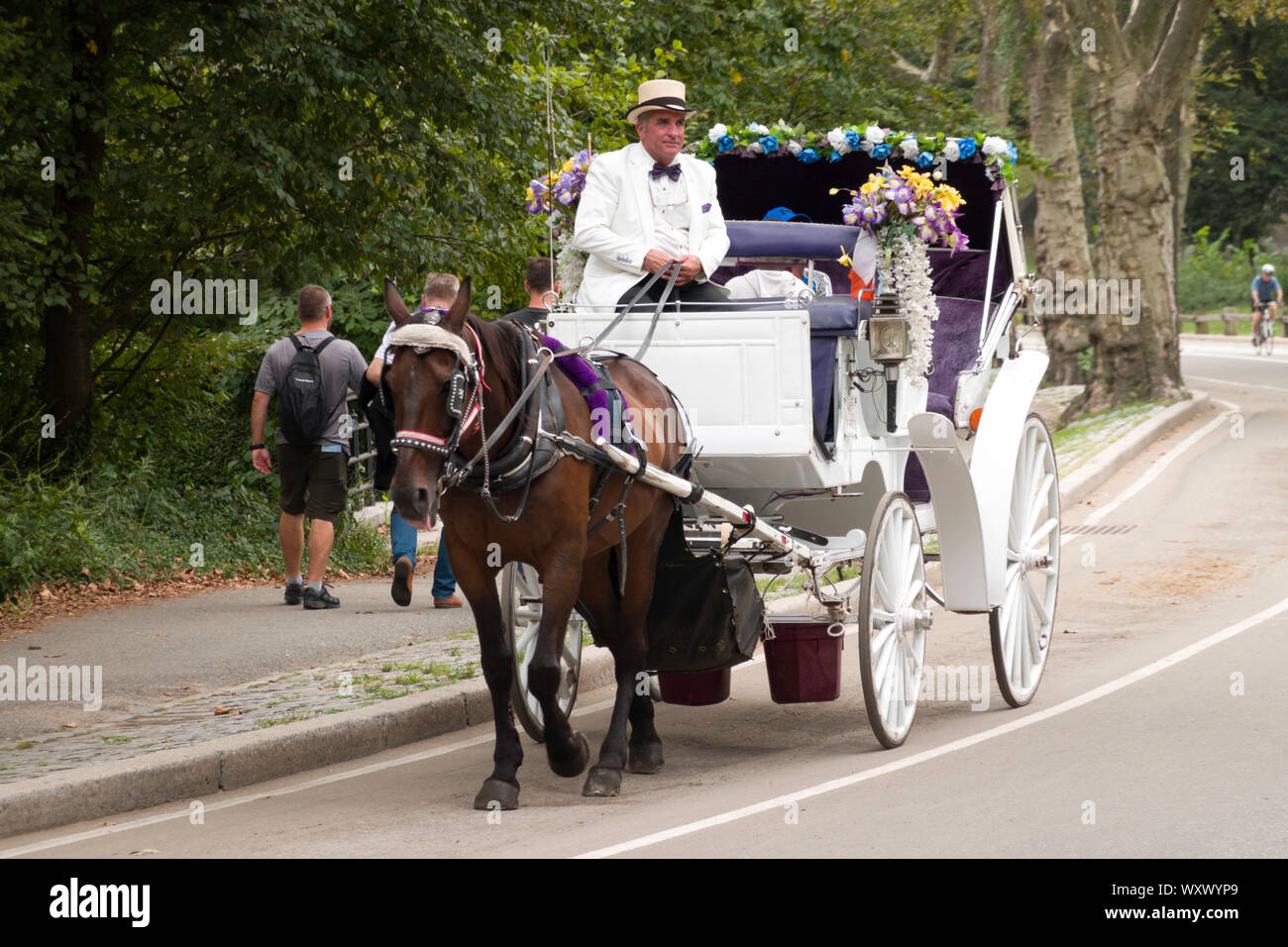 Horse And Carriage dans Central Park, NYC Banque D'Images