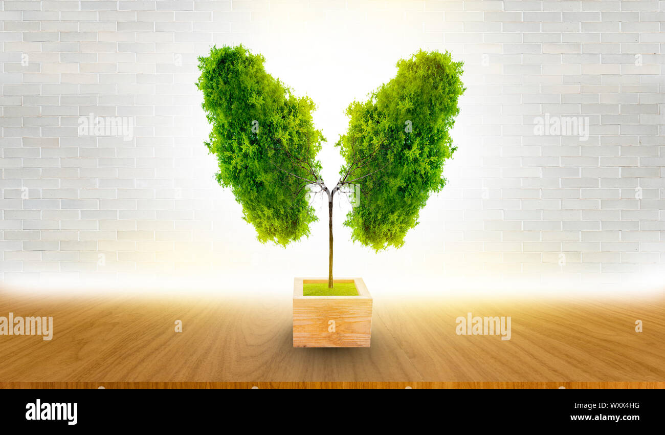 L'arbre vert en forme de poumon-images, des concepts médicaux, l'autopsie, affichage 3D et les animaux comme un élément Banque D'Images