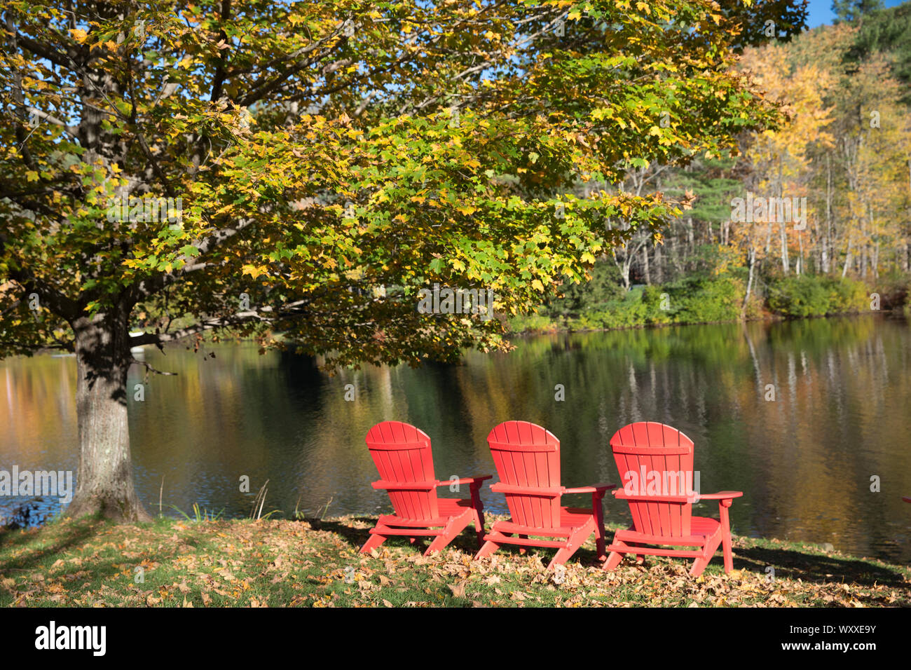 Muskoka chaises, aussi connus comme des chaises Adirondack par sauvetage lac près de Ludlow dans le Vermont, New England, USA Banque D'Images