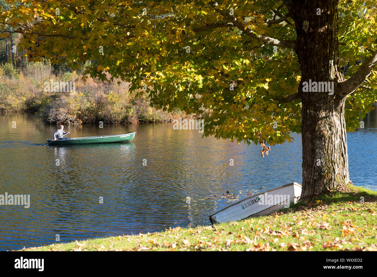 Aviron sur le lac en canoë homme sauvetage près de Ludlow dans le Vermont, New England, USA Banque D'Images