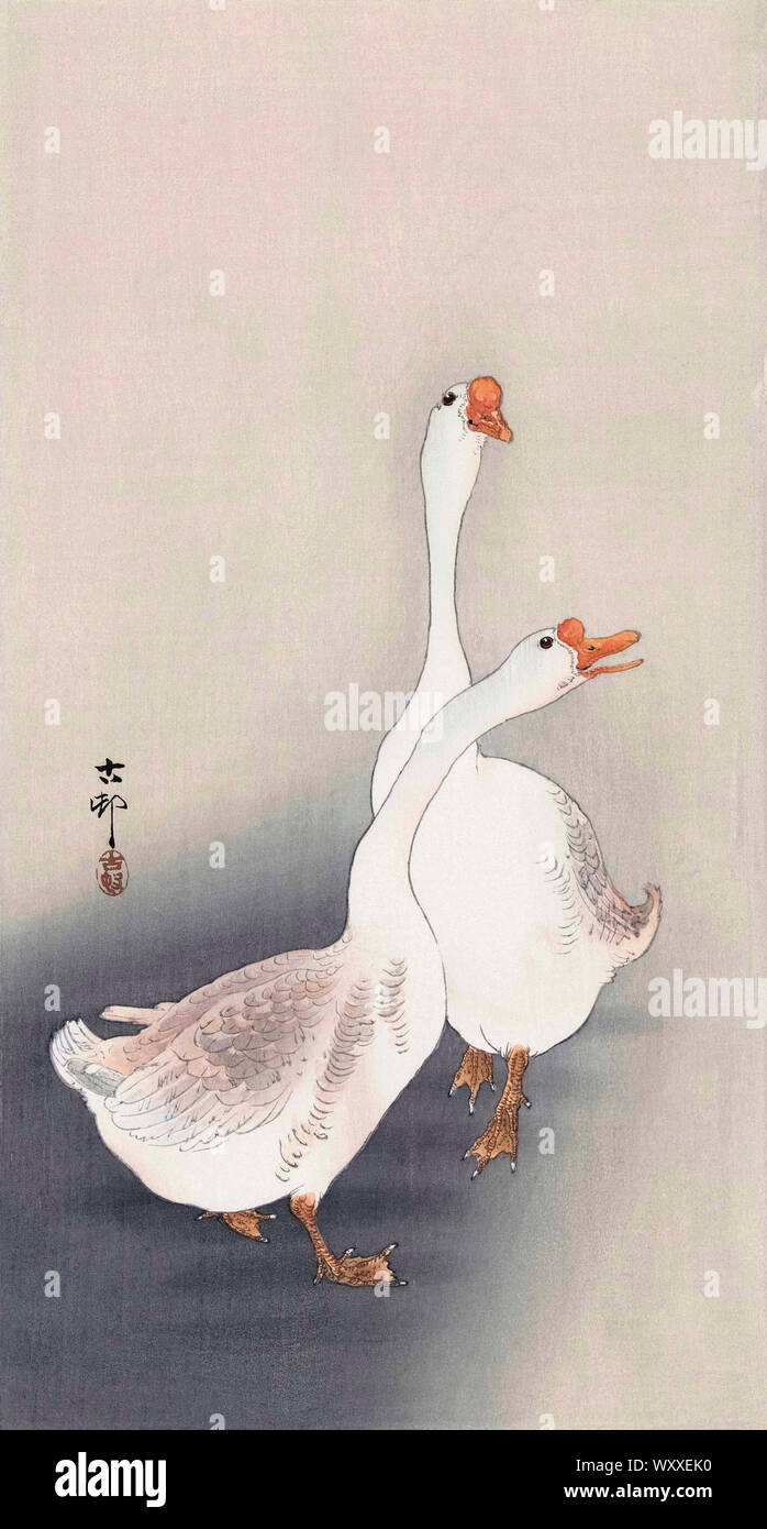 Deux oies, par l'artiste japonais Ohara Koson, 1877 - 1945. Ohara Koson faisait partie de la shin-hanga, ou nouvelle imprime le mouvement. Banque D'Images
