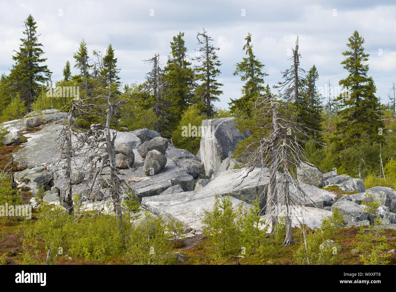 Les roches de la montagne Vottovaara. La Carélie, Russie Banque D'Images
