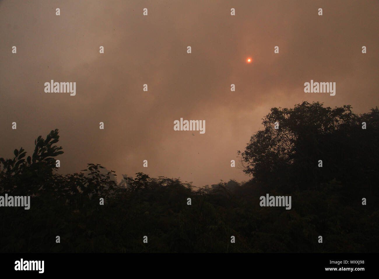 Pekanbaru, Riau, l'Indonésie. 18 Sep, 2019. RIAU, INDONÉSIE - 18 SEPTEMBRE : le point de vue d'un feu de forêt le 18 septembre 2019 dans la ville de Pekanbaru, dans la province de Riau en Indonésie. Les feux de forêts de l'Indonésie a causé certaines parties de Sumatra d'être couverte de brume et inclus à Singapour et en Malaisie. De nombreuses écoles sont fermées à cause de mauvaises conditions de l'air, les personnes touchées par des maladies respiratoires. Credit : Sijori Images/ZUMA/Alamy Fil Live News Banque D'Images