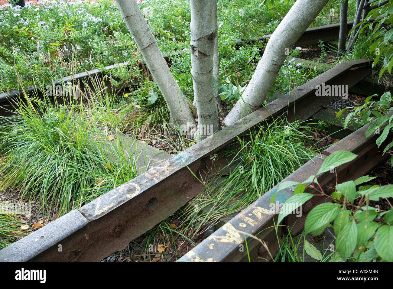 Trembles et les voies ferrées désaffectées sur la ligne haute du parc surélevé passerelle sur west side de Manhattan, New York City, USA Banque D'Images