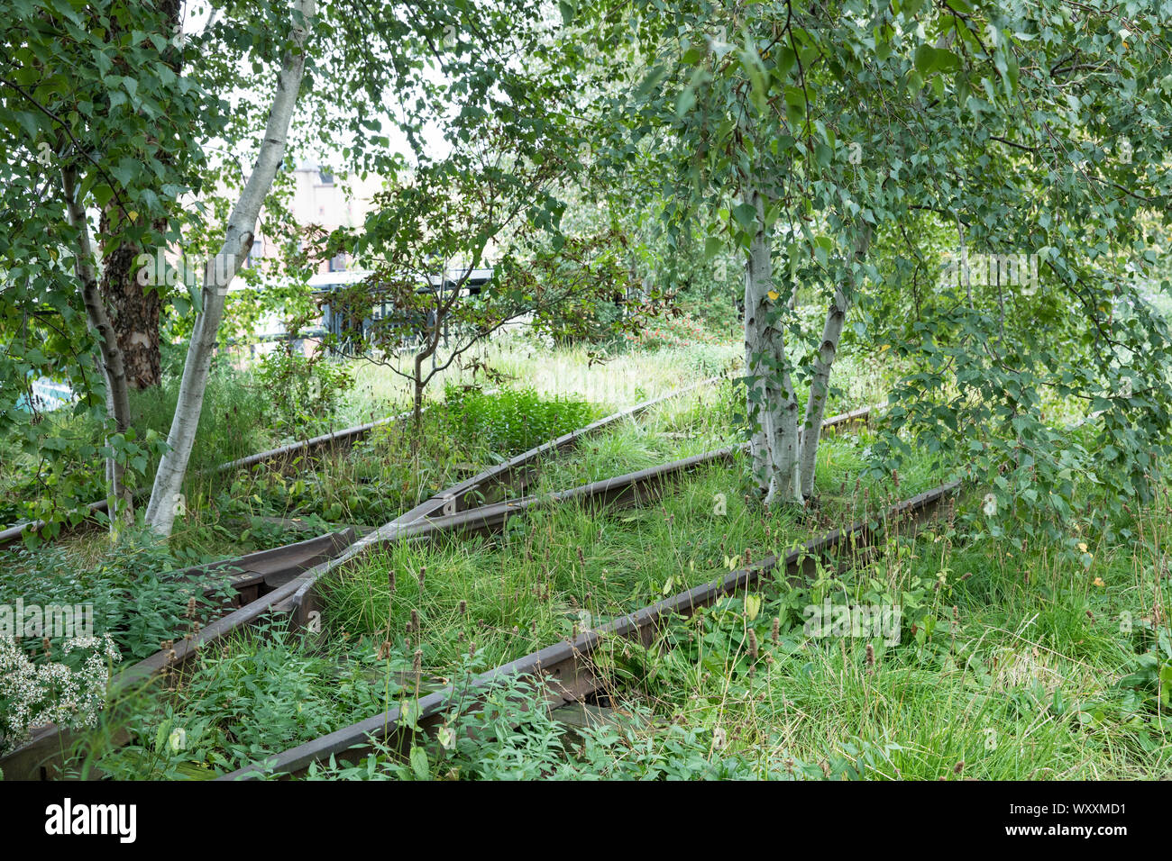 Trembles et les voies ferrées désaffectées sur la ligne haute du parc surélevé passerelle sur west side de Manhattan, New York City, USA Banque D'Images