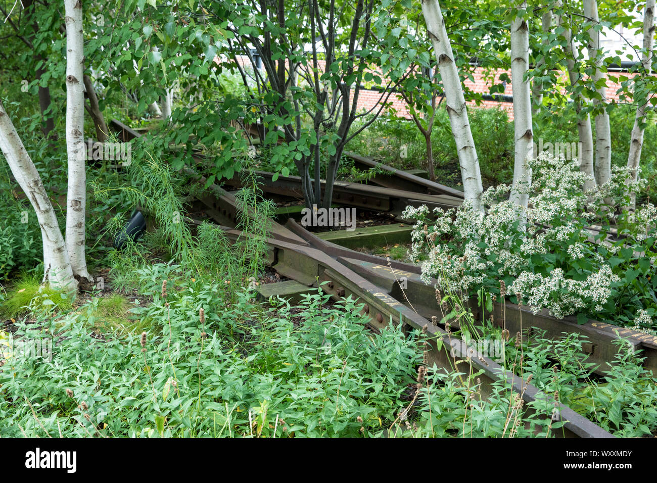 Trembles et les voies ferrées désaffectées sur la ligne haute du parc surélevé passerelle sur west side de Manhattan, New York City, USA Banque D'Images