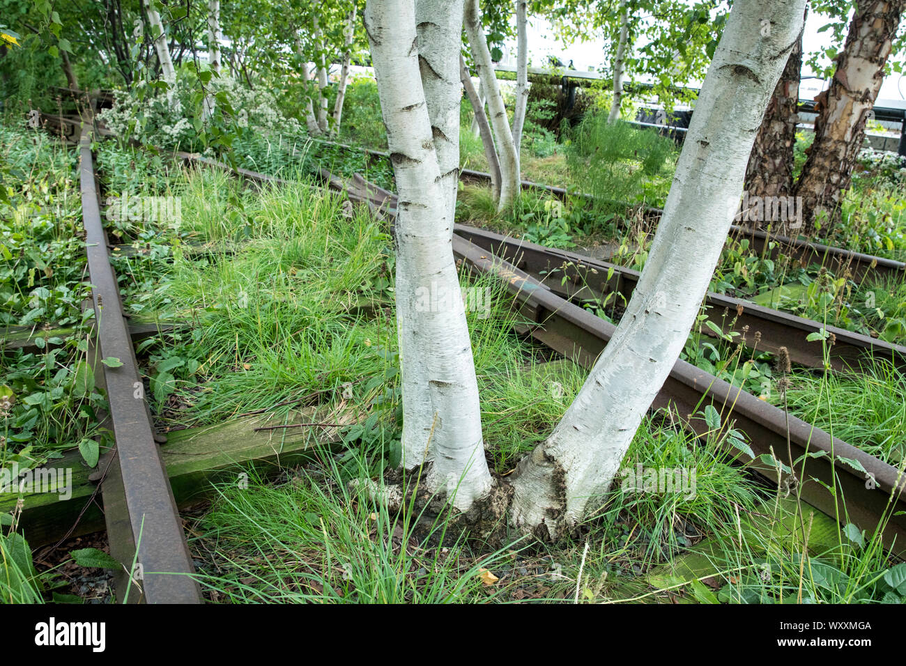 Trembles et les voies ferrées désaffectées sur la ligne haute du parc surélevé passerelle sur west side de Manhattan, New York City, USA Banque D'Images