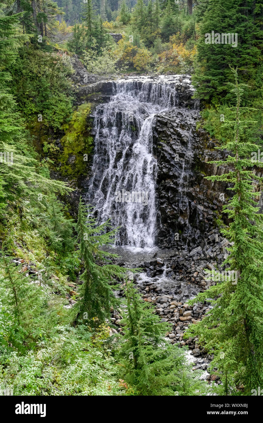 Cascade, Heather Meadows Falls, Galena Creek, comté de Whatcom, Mount Baker, Washington, USA Banque D'Images