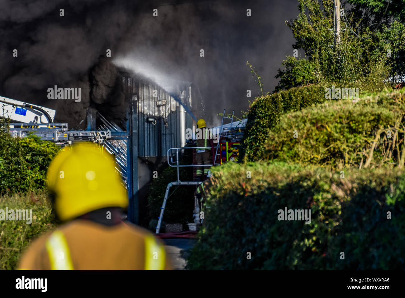 Leominster, UK. 18 Sep, 2019. Les pompiers bataille pour contrôler un incendie agricole dans la région de Leominster Herefordshire, le 18 septembre 2019. L'Inferno qui a fait rage pendant trois heures est contenue par des équipes d'incendie, une ambulance d'air a été lancé mais il n'y a pas fatalaties. Crédit : Jim Wood/Alamy Live News Banque D'Images