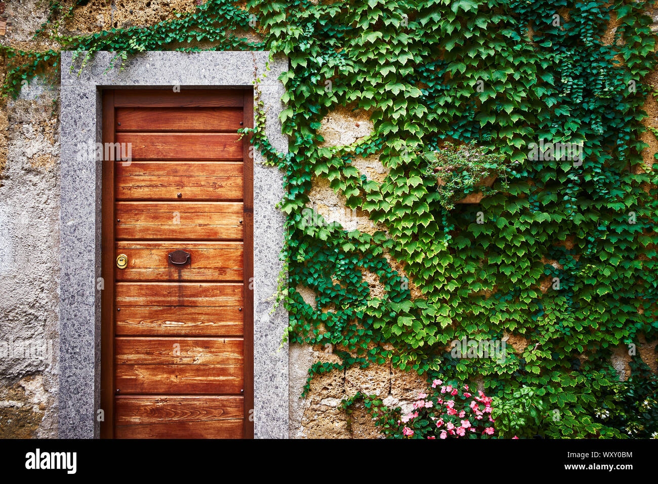 Une vieille porte en bois d'une ancienne maison en pierre avec des murs couverts de lierre vert et plantes grimpantes en Italie Banque D'Images