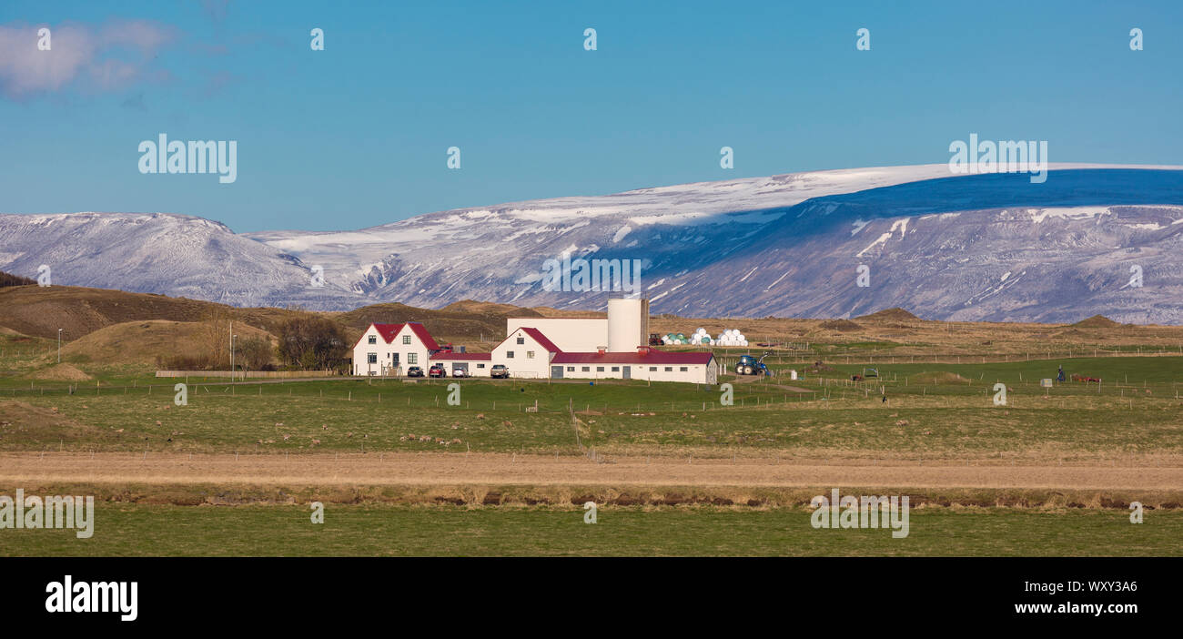 Islande - les bâtiments agricoles et les champs. Banque D'Images