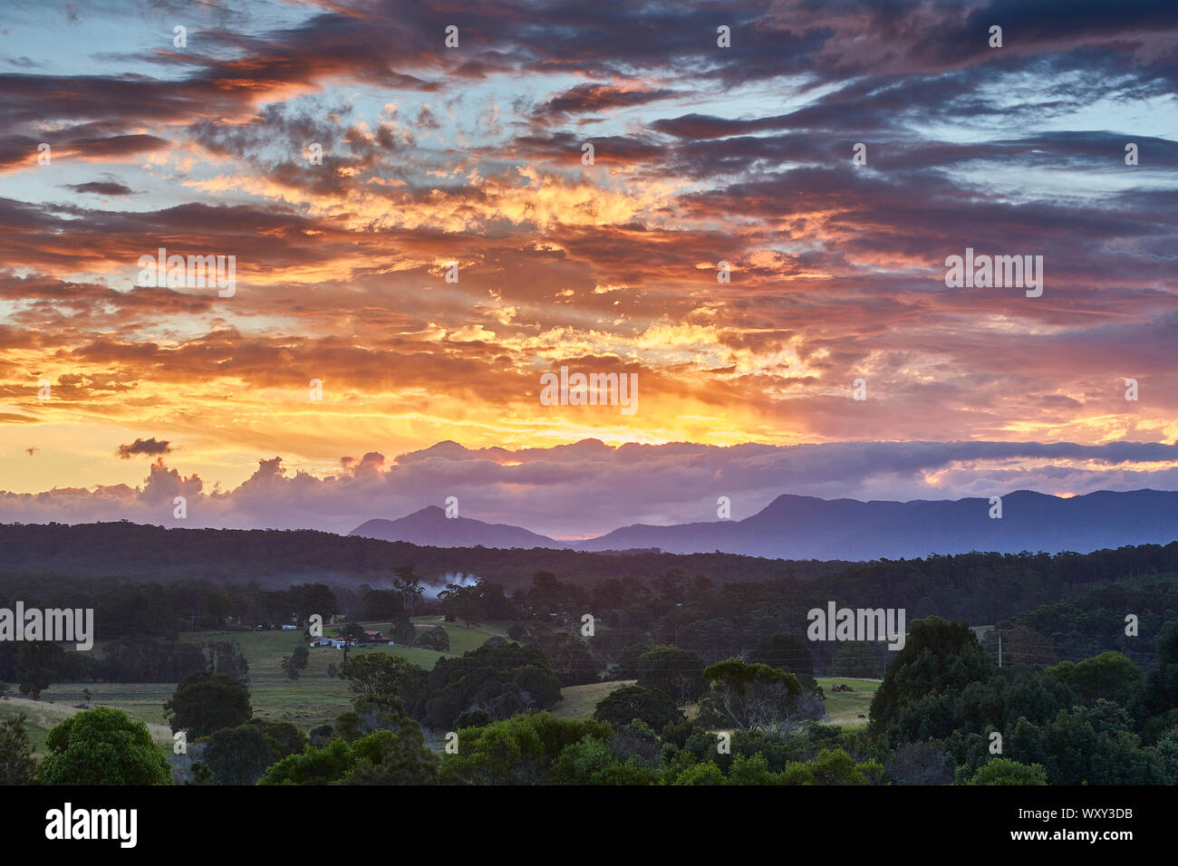Les soleils la lumière se reflétant sur les nuages juste après le coucher du soleil au-dessus d'une forêt avec la Cordillère australienne dans l'arrière-plan pris de Repton, NSW, Australie Banque D'Images