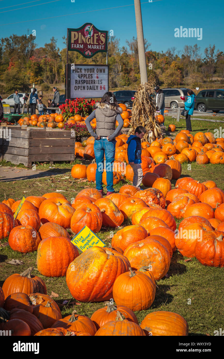 Pingle's Farm, Ontario, Canada - Femme et enfant à la recherche de citrouilles et divers fruits à la vente pour l'Halloween et Thanksgiving Banque D'Images