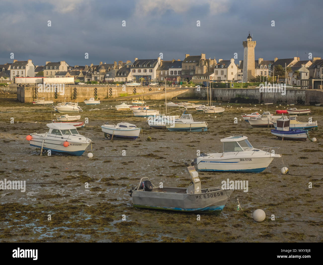 De nombreux petits bateaux assis dans la vase à marée basse dans le port de Roscoff, France, avec la ville et le phare éclairé par le soleil du soir. Banque D'Images