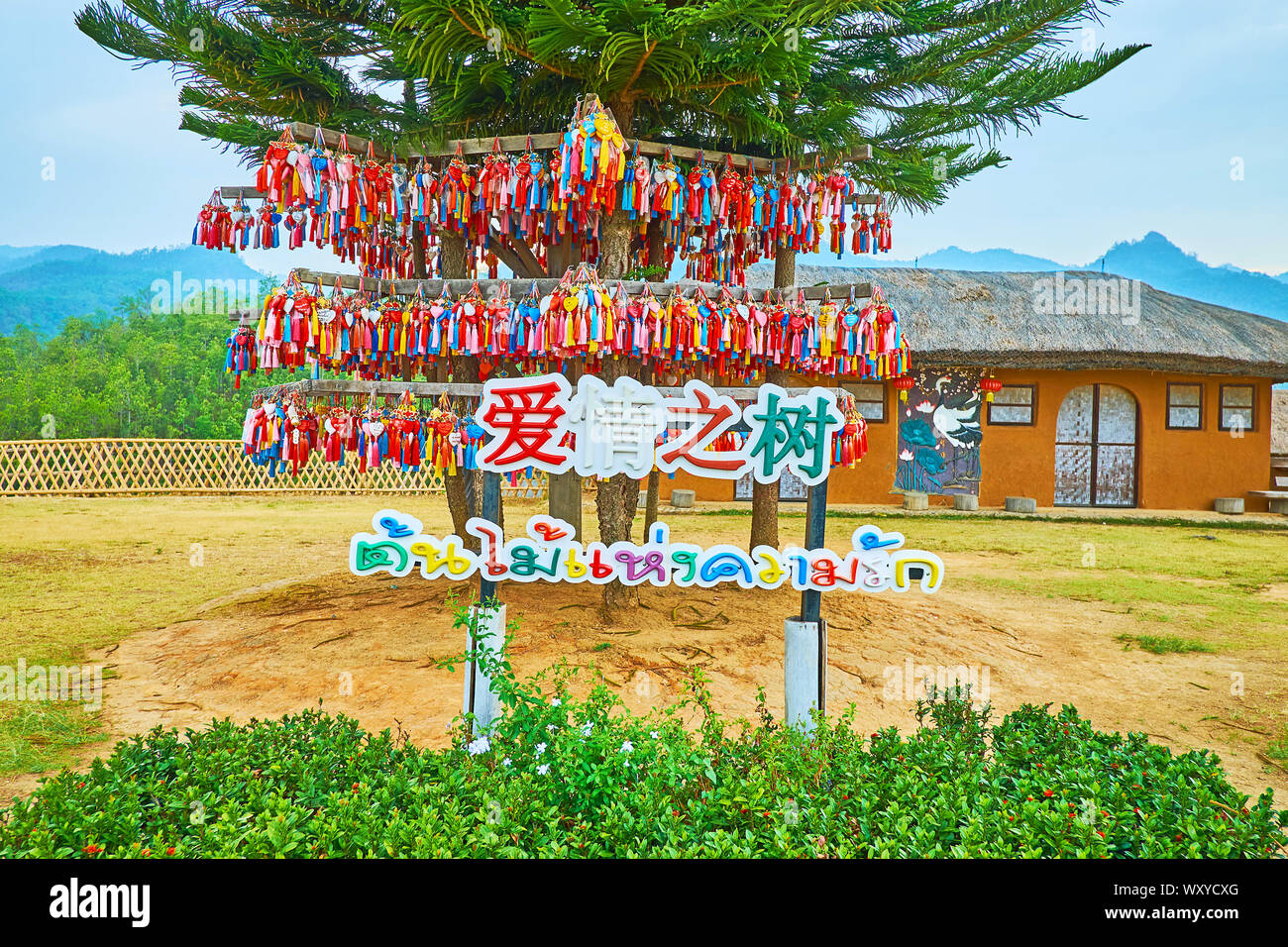 SANTICHON, THAÏLANDE - Mai 5, 2019 : les pins de Norfolk sur Yun Lai vue sont décorées avec de nombreux souvenirs colorés qui souhaitent avec noms des visiteurs, o Banque D'Images