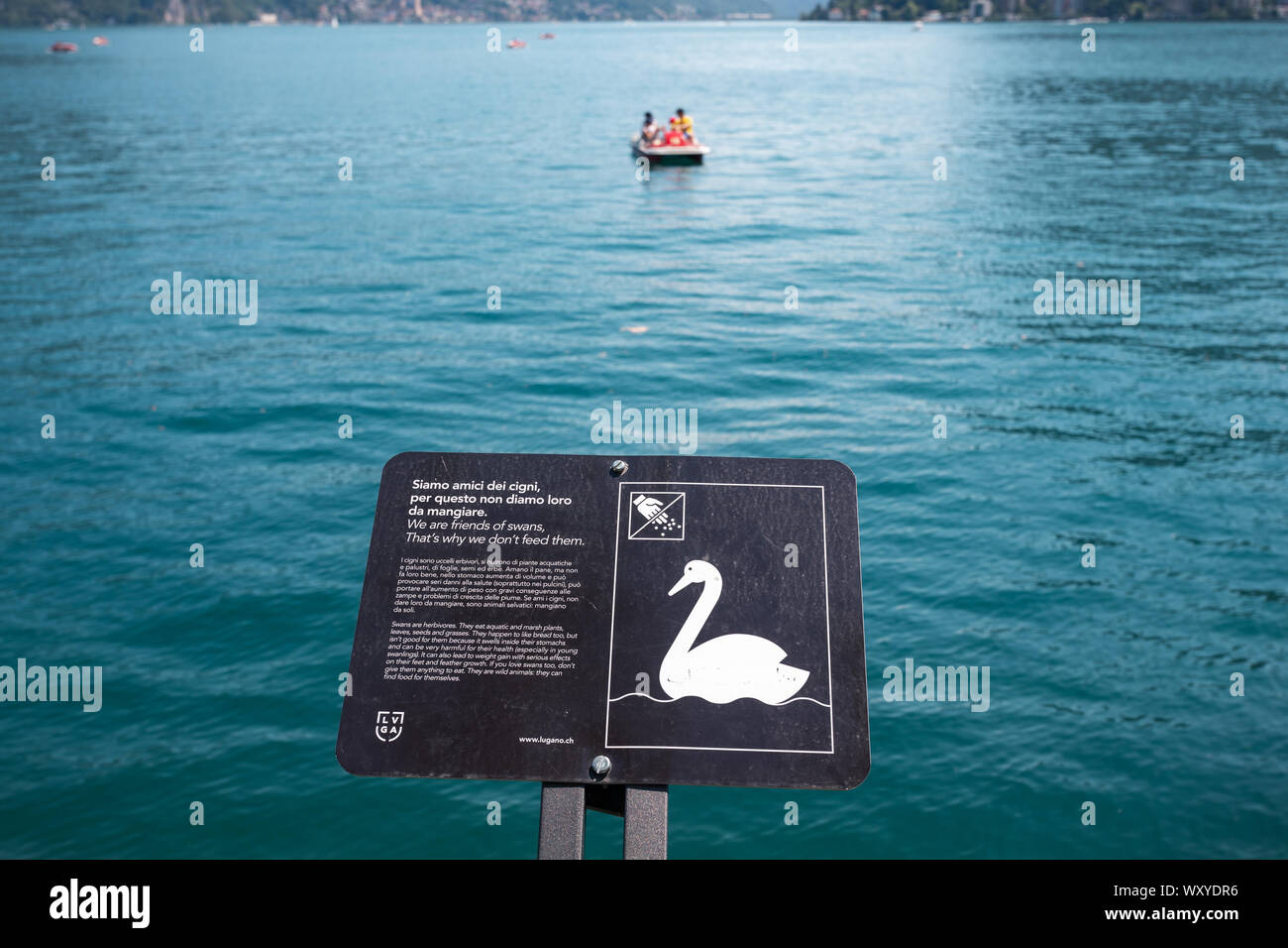 Signe à la publicité pour ne pas nourrir les cygnes au lac de Lugano, dans la ville de Lugano, canton du Tessin, Suisse Banque D'Images