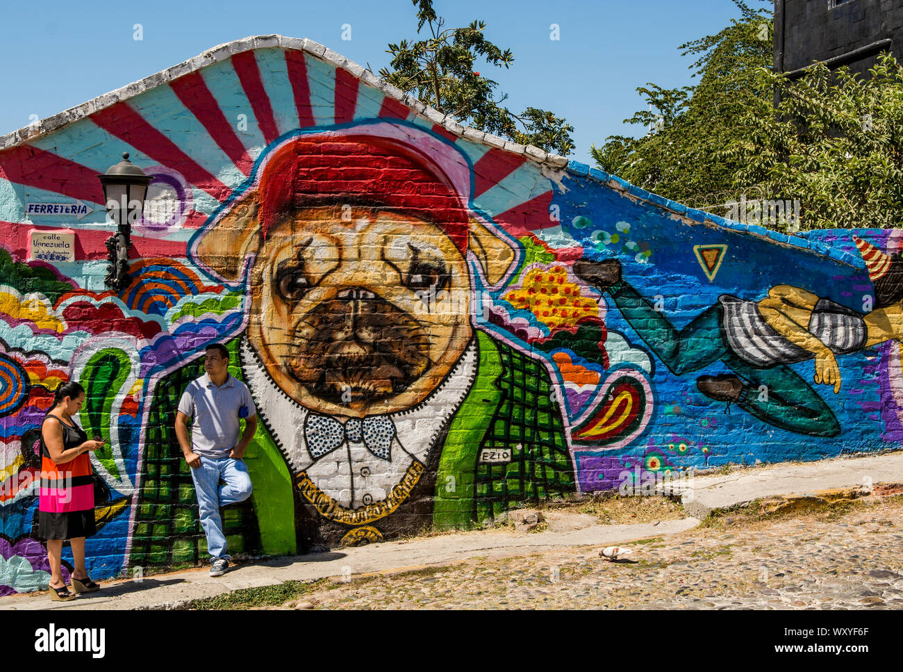 Mur art graffiti, Puerto Vallarta, Jalisco, Mexique. Banque D'Images