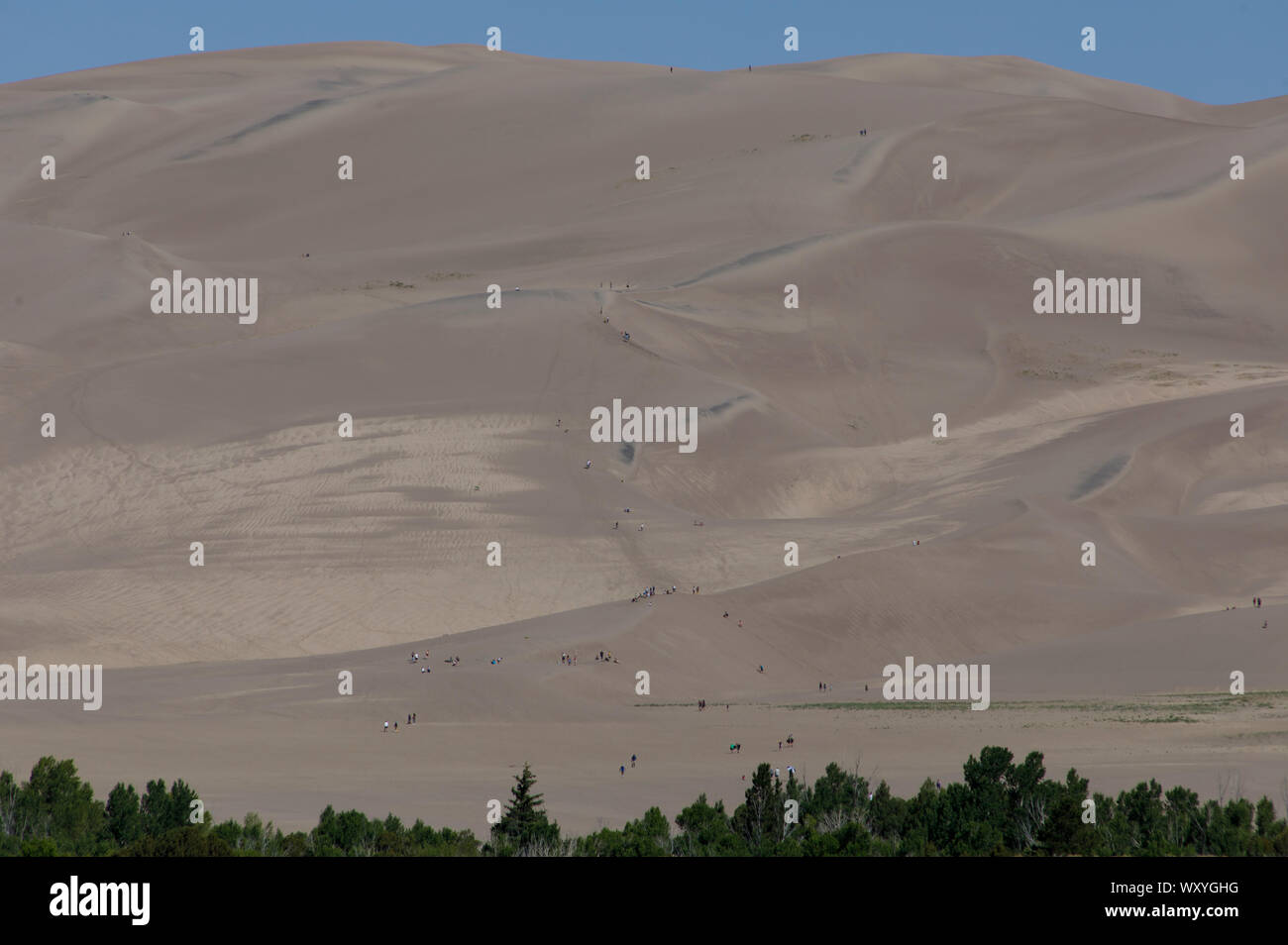 Les randonneurs et de traîneaux à gravir les dunes de sable au Great Sand Dunes National Park en été dans le Colorado. Banque D'Images