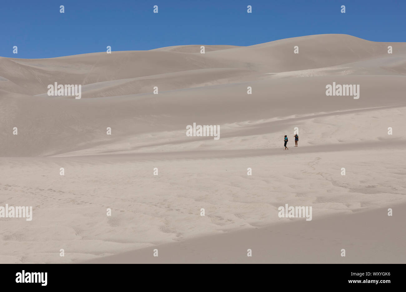 Les randonneurs se promener dans les dunes de Great Sand Dunes National Park en été dans le Colorado. Banque D'Images
