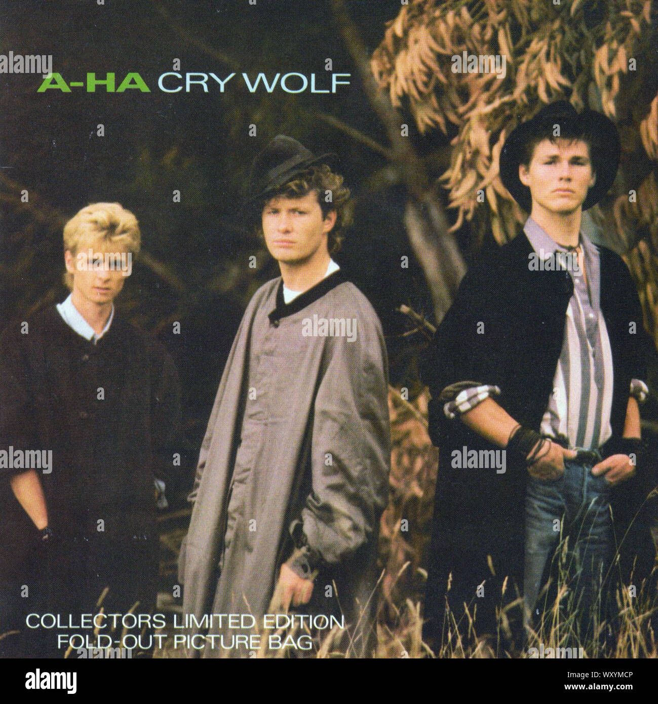 A-ha - Cry Wolf - Vintage 7'' pouces notice couvrir Banque D'Images