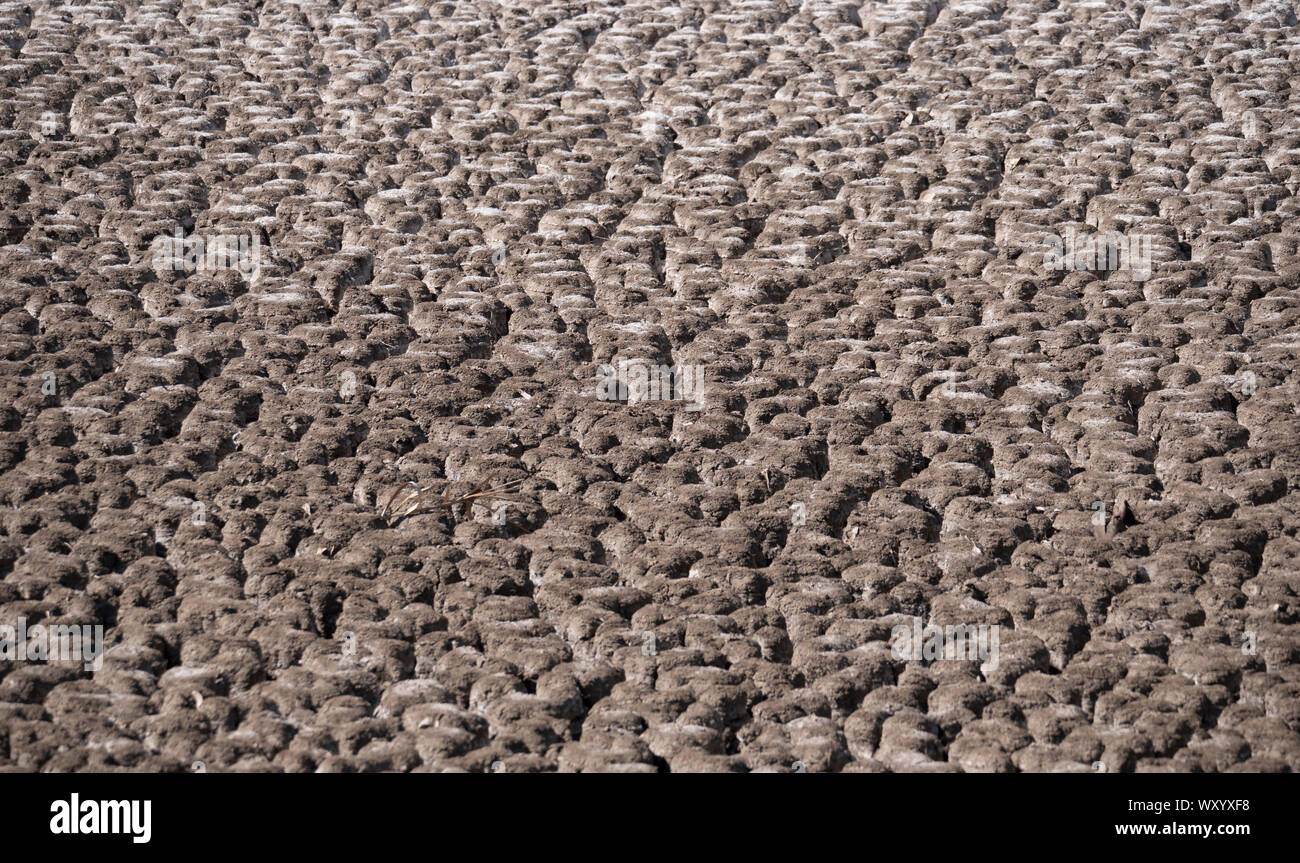 Le lit du lac asséché avec un sol sec fissuré dans la sécheresse en Nouvelle Galles du Sud, Australie Banque D'Images