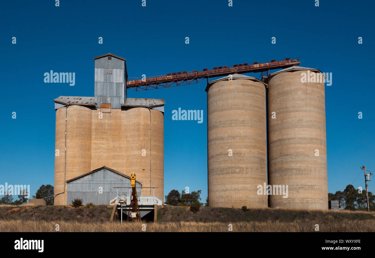 Des silos de béton dans l'Australie rurale utilisée pour stocker le blé, sorgum, l'orge et autres céréales à partir de fermes de la région. Banque D'Images