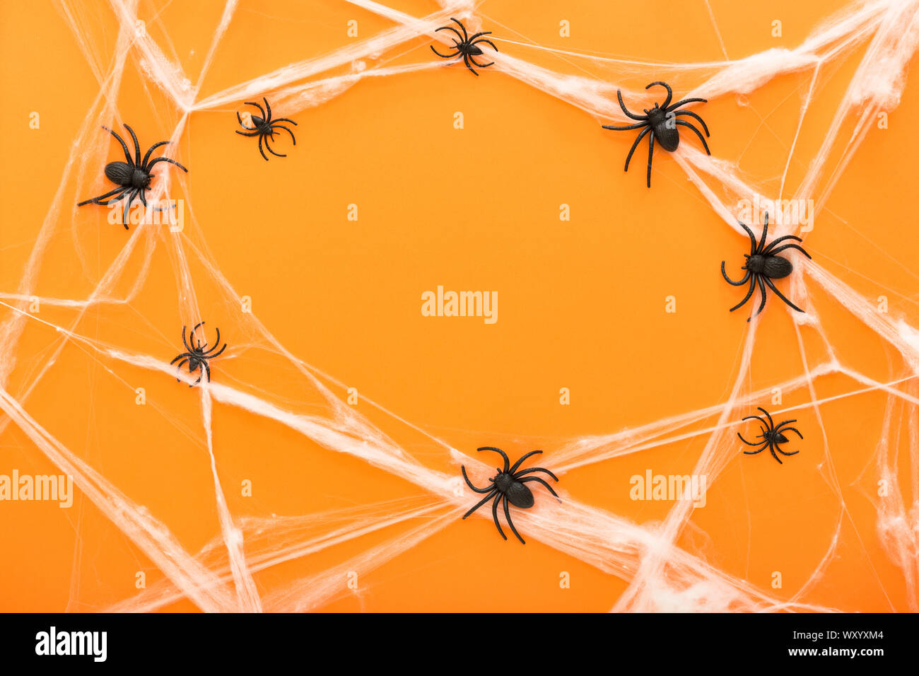 Arrière-plan de l'halloween avec d'araignée et des araignées comme symboles d'Halloween sur fond orange. Happy Halloween concept. Cadre. Banque D'Images