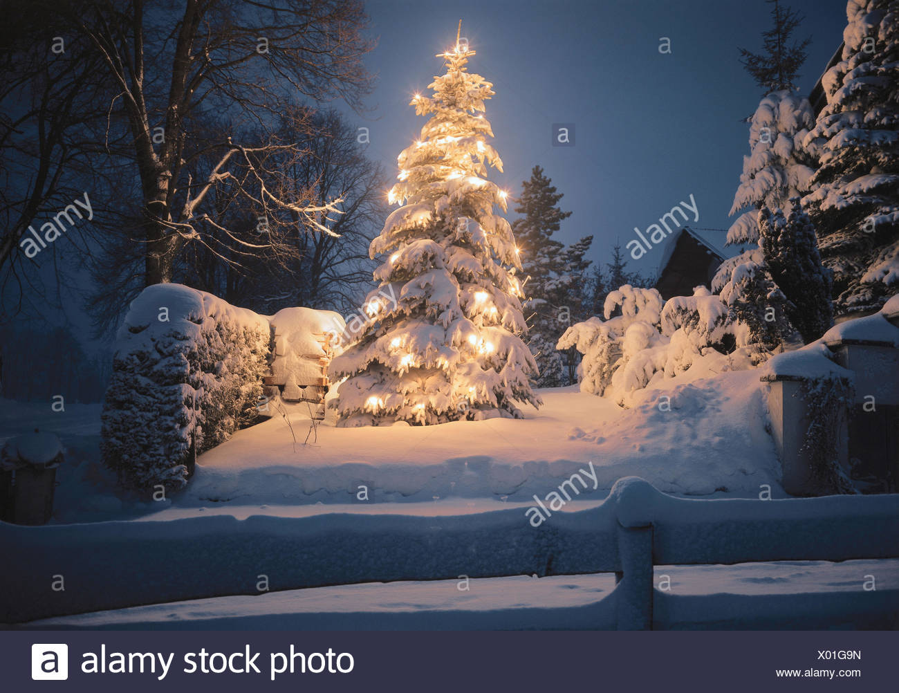 Arbre De Noel Illuminateds Milou Soir Paysage D Hiver Noel Yule Maree Arbres Arbre Lumieres Winters Arbre De Noel L Humeur Conte D Hiver Romantisme Pour Noel Noel D Hiver Le Silence L Idylle Reste Nuit Photo Arbre De Noel Illuminateds Milou Soir Paysage D Hiver Noel Yule Maree Arbres Arbre Lumieres Winters Arbre De Noel L Humeur Conte D Hiver Romantisme Pour Noel Noel D Hiver Le Silence L Idylle Reste Nuit Photo