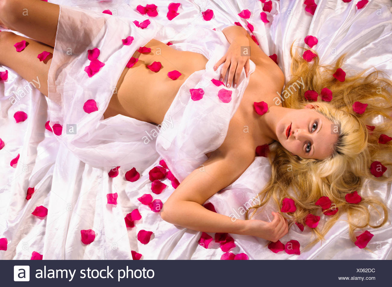 Attraktive junge Frau liegt auf einem Bett und ist Laken weißer bär von  roten Rosenblättern umgeben Photo Stock - Alamy