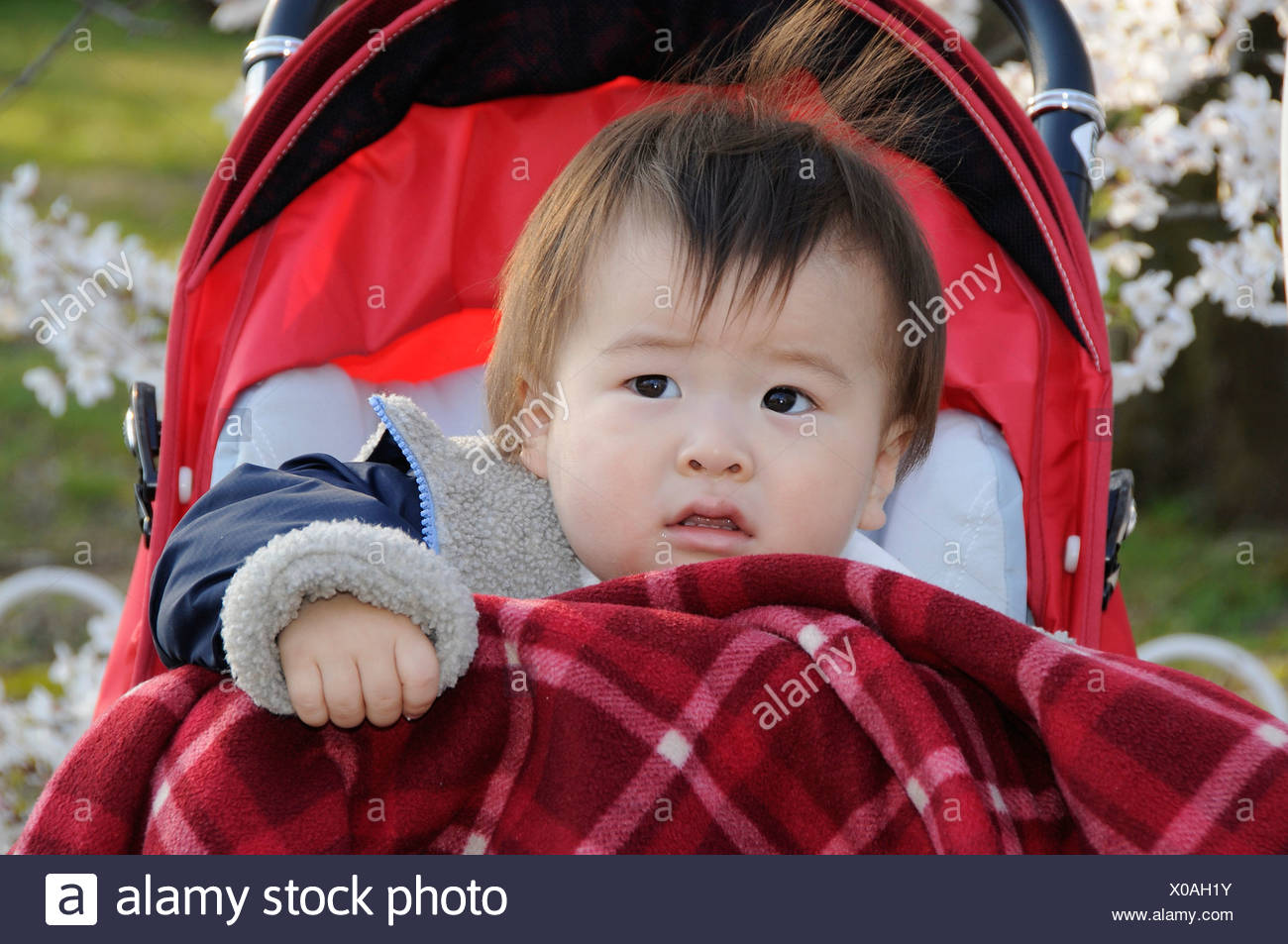 Japanese Baby Banque D Image Et Photos Alamy