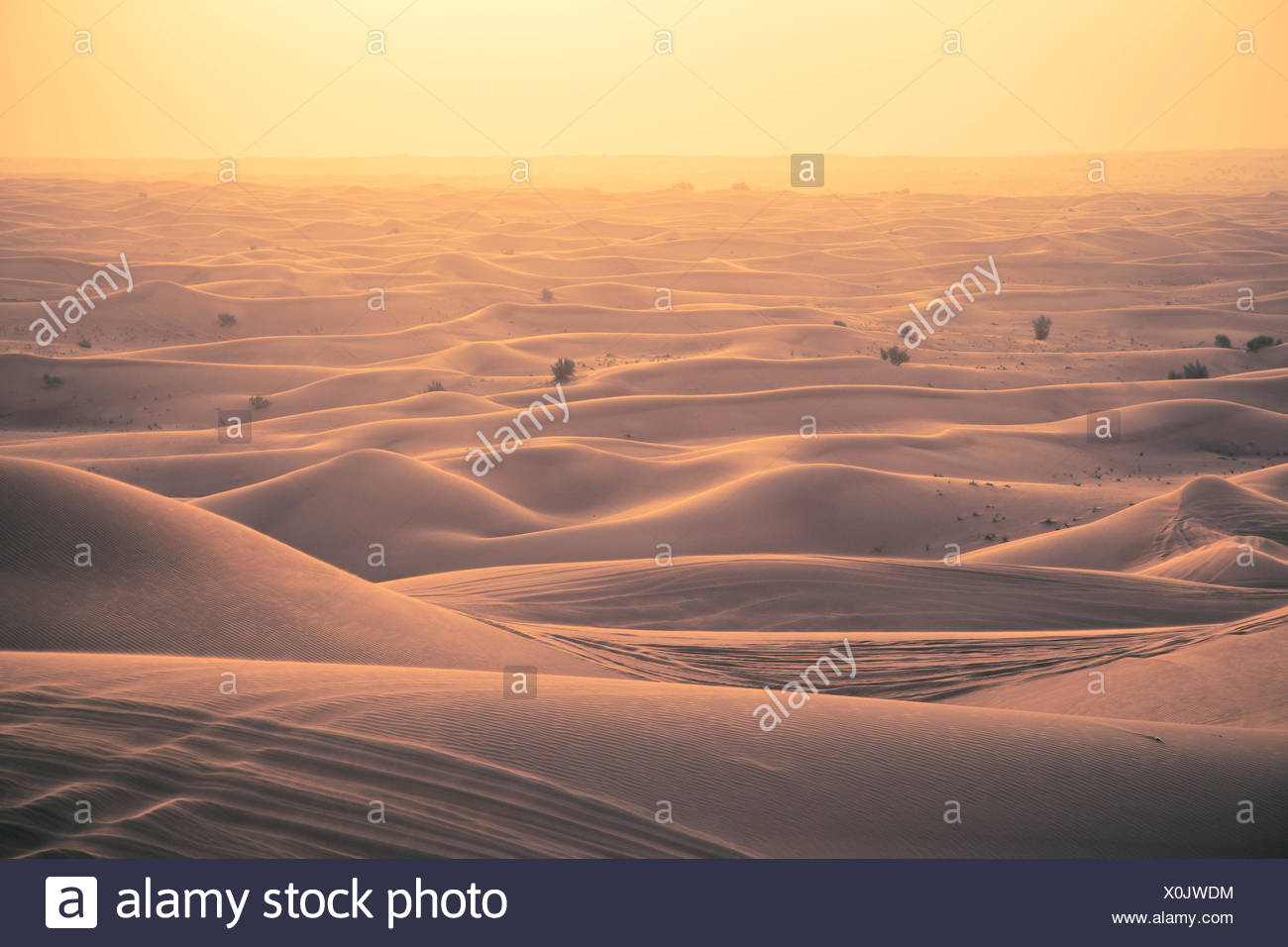 Dunes de sable dans le désert au coucher du soleil, Dubaï Banque D'Images