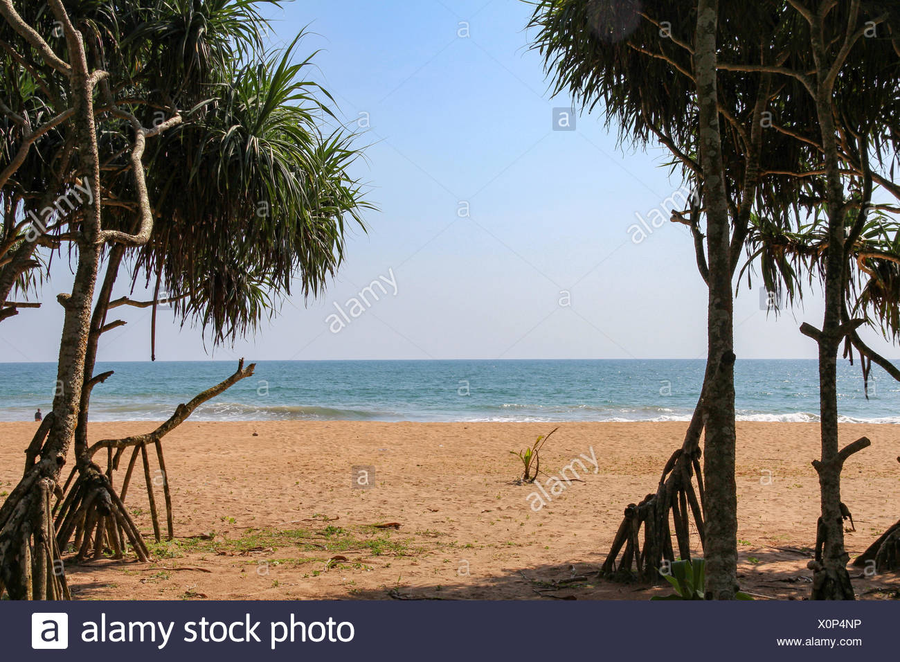 Sri Lanka Province De Louest Kalutara Accès Plage à