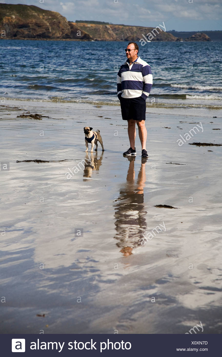 Mer Dog Photos Mer Dog Images Alamy