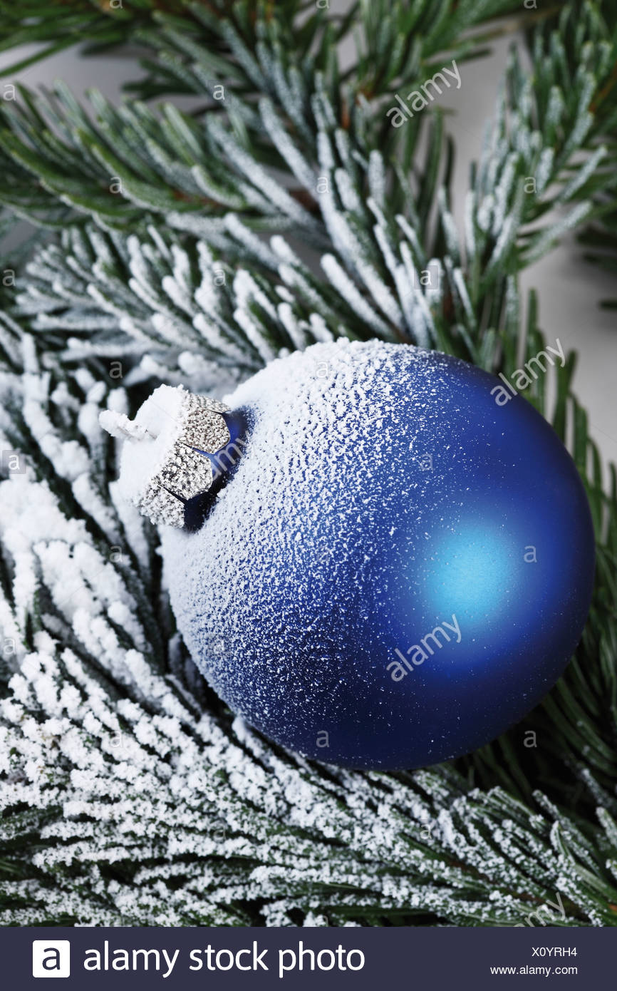 Décoration De Noël Boule De Noël Bleu Sur Rameau De Sapin