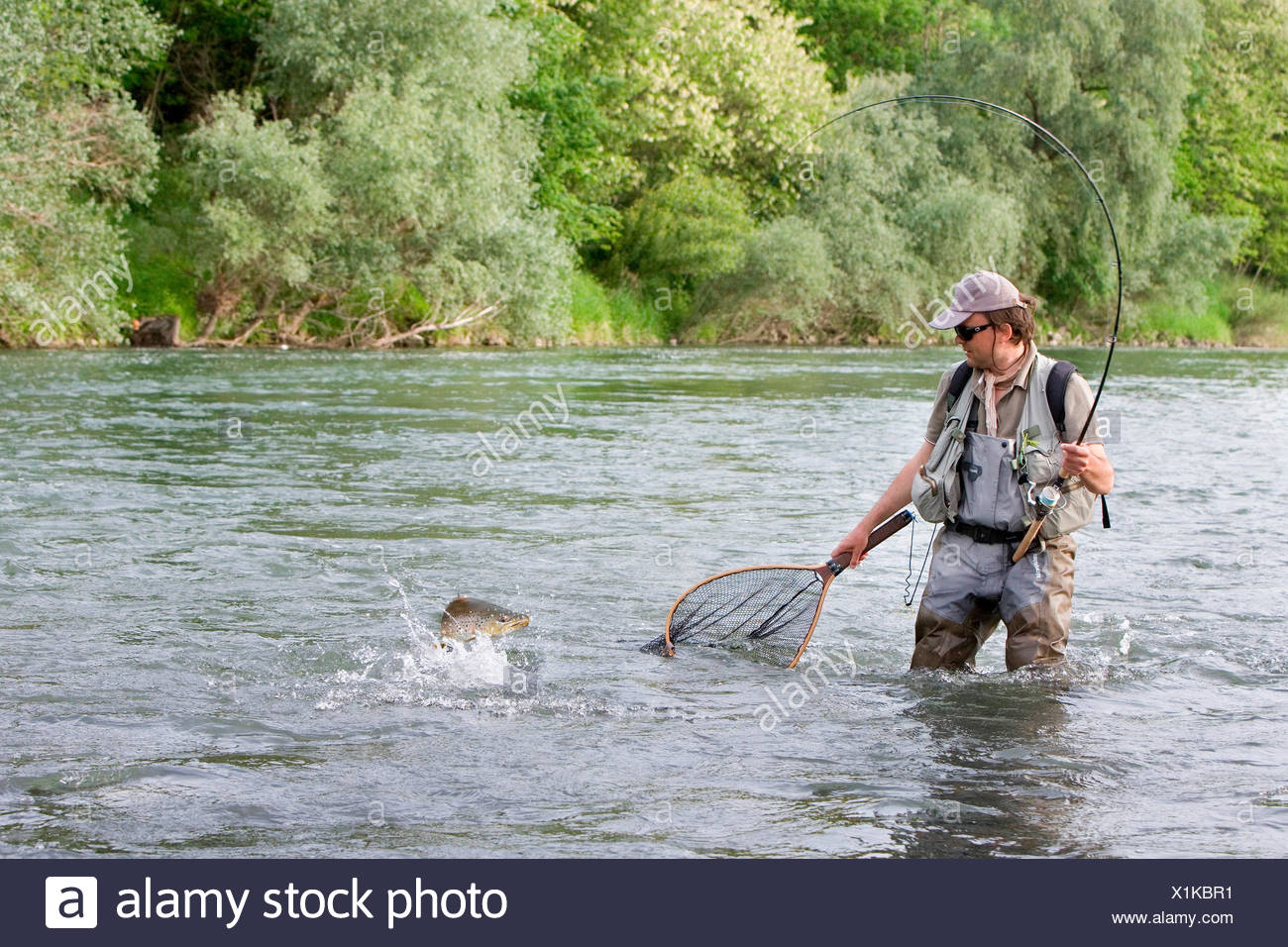 peche truite haut rhin