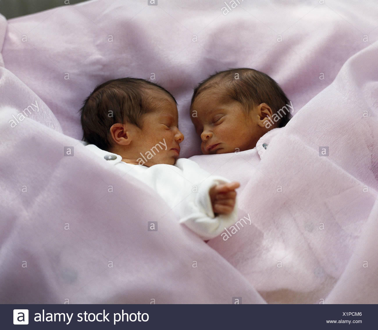Bebe Jumeaux Les Enfants Nouveau Nes A L Interieur Deux Chambres Le Sommeil Les Bebes 3 Mois Nouveau Ne Nourrisson Bebe Mehrlinge Freres Et Sœurs Le Sommeil Photo Stock Alamy