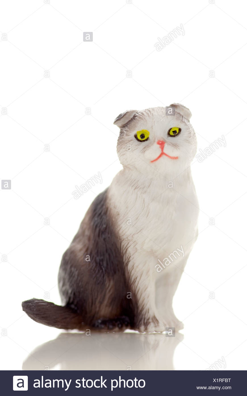 Chat En Plastique De Jouet Photo Stock Alamy Chat En Plastique De Jouet Photo Stock Alamy